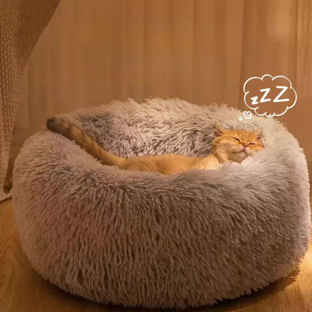 CalmNest™ Pet Bed + FREE Gift 🎁